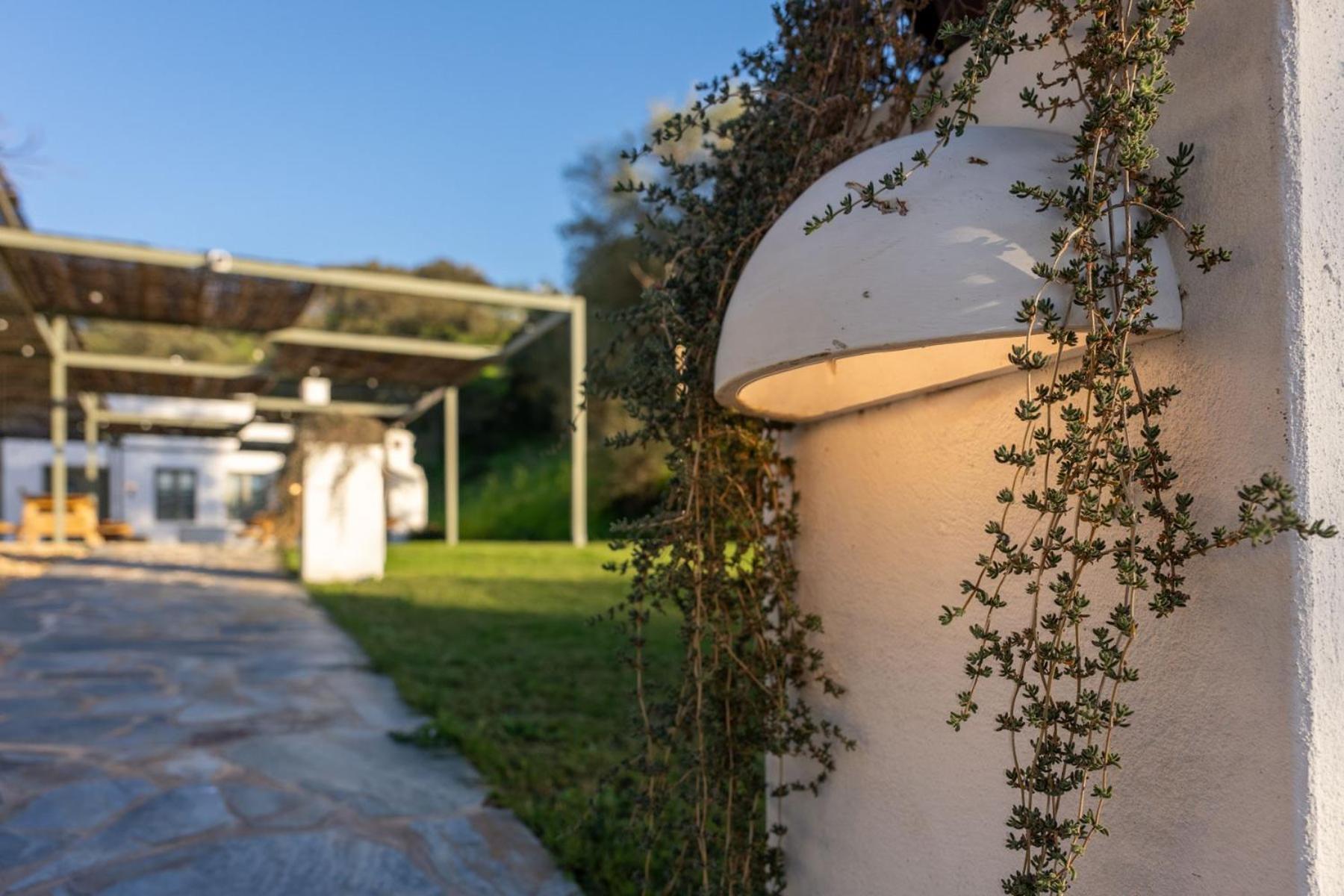 Apartamentos, Finca Contrabando Sanlucar Del Guadiana, Huelva Sanlucar De Guadiana Luaran gambar